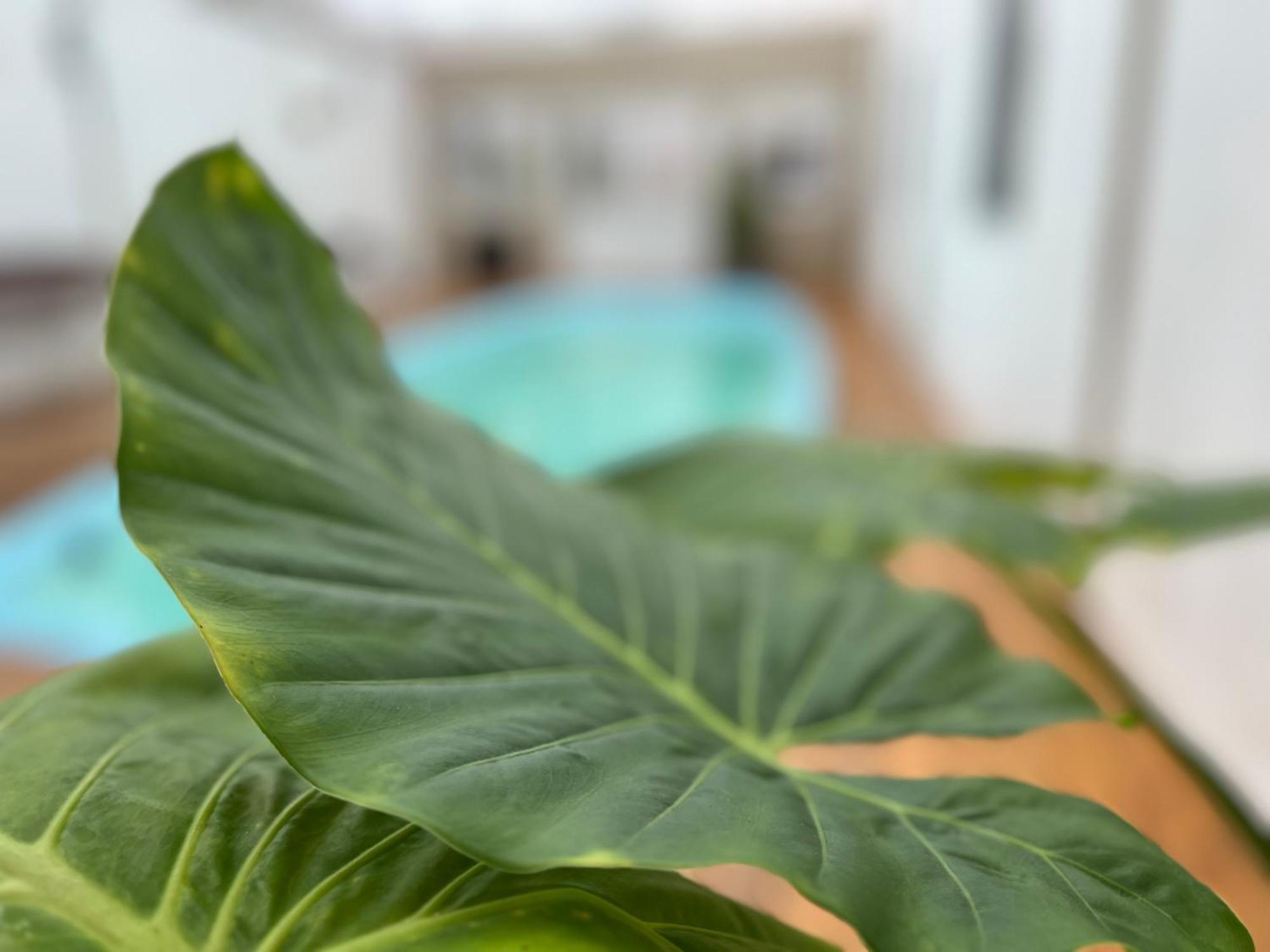 Hotel Gran Continente San Clemente del Tuyú Εξωτερικό φωτογραφία