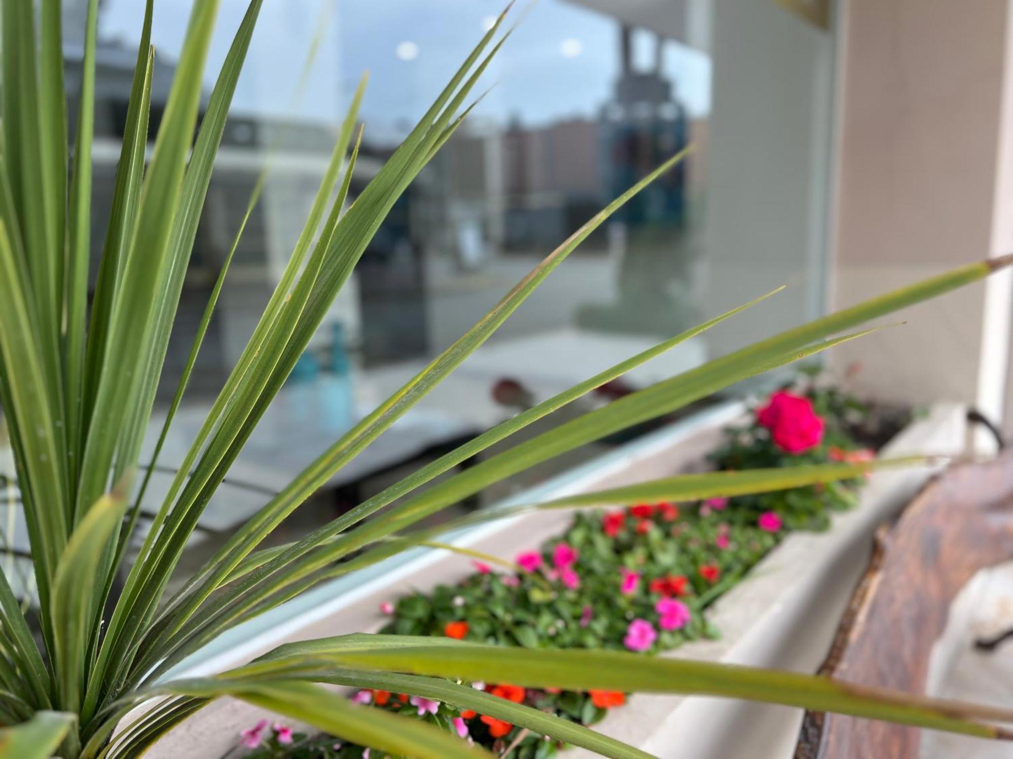 Hotel Gran Continente San Clemente del Tuyú Εξωτερικό φωτογραφία